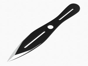 Throwing Knife 09 3D Model
