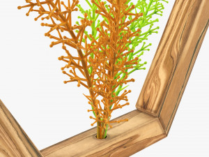 Decorative Frame With Artificial Flower 3D Model