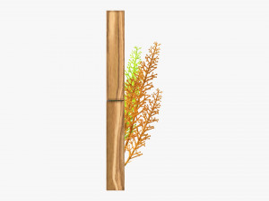 Decorative Frame With Artificial Flower 3D Model