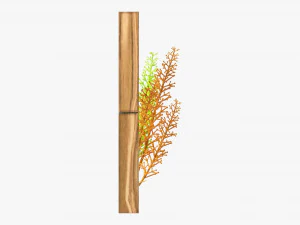 Decorative Frame With Artificial Flower 3D Model