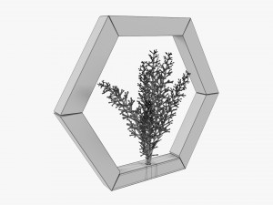 Decorative Frame With Artificial Flower 3D Model