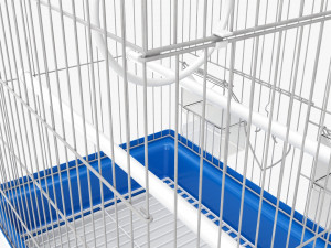 Flat Top Bird Cage Modelo 3D