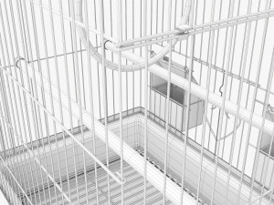 Flat Top Bird Cage Modelo 3D