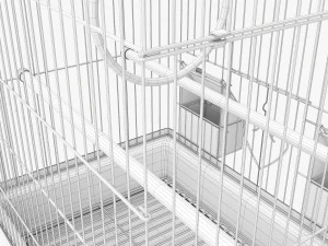 Flat Top Bird Cage 3D Model