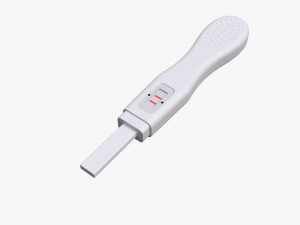 Pregnancy test 3D Model