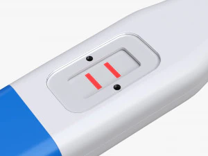 妊娠検査薬 3Dモデル