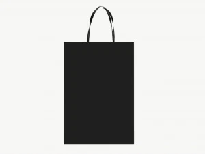Black paper bag with handles 01 3D Model