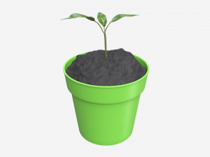 Decorative potted plant 12 3D Model