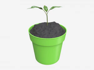 सजावटी गमले में लगा पौधा 12 3D मॉडल