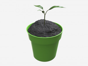 Decorative potted plant 12 3D Модель