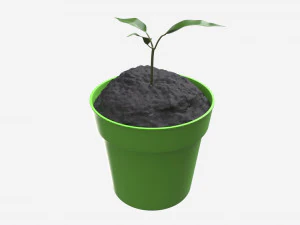 Decorative potted plant 12 3D Model