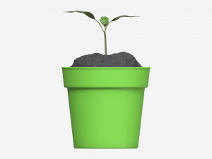 Decorative potted plant 12 3D Модель