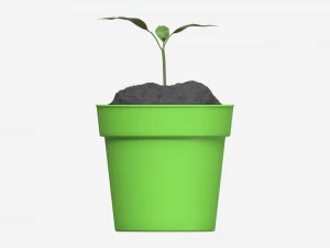 Decorative potted plant 12 3D Model