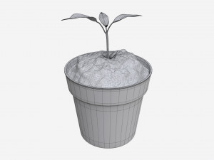 Decorative potted plant 12 3D Модель