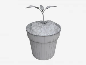 Decorative potted plant 12 3D Model