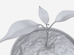 Decorative potted plant 12 3D Модель
