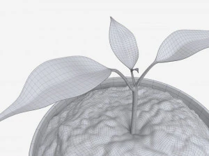 Decorative potted plant 12 3D Model