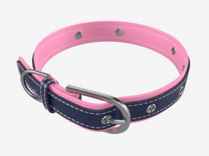 Kulit Kerah Anjing Model 3D