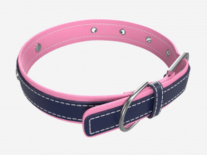 Dog Collar Leather 3D Model