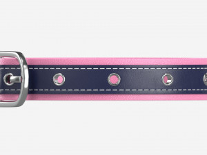 Dog Collar Leather 3D Model