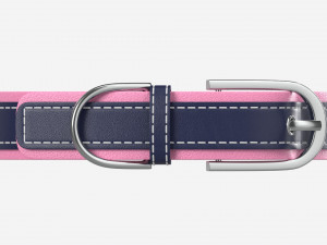 Dog Collar Leather 3D Model