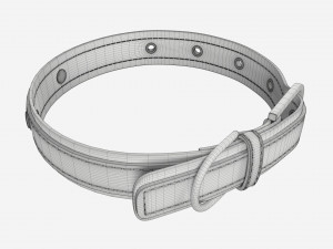Dog Collar Leather 3D Model