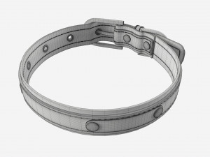 Dog Collar Leather 3D Model