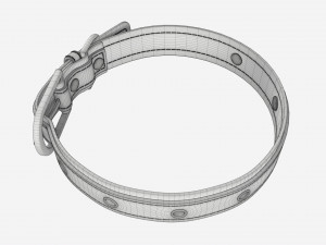 Dog Collar Leather 3D Model