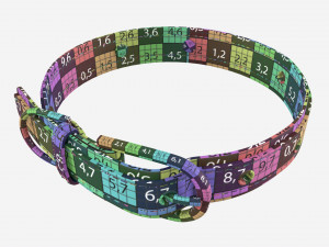 Dog Collar Leather 3D Model