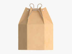 Hexagonal cardboard box with cord Modèle 3D