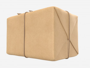 Parcel wrapped in kraft paper Modello 3D