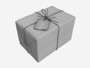 Parcel wrapped in kraft paper Modello 3D