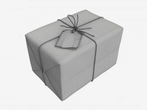 Parcel wrapped in kraft paper 3D Model