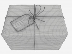 Parcel wrapped in kraft paper Modello 3D
