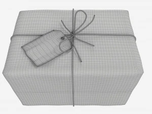 Parcel wrapped in kraft paper 3D Model