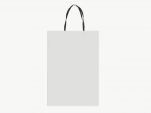 White paper bag with handles 01 3D Model