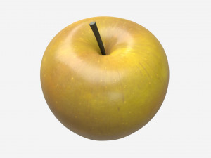 Apple single fruit gala green 3D Model