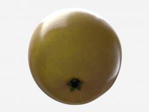 Apple single fruit gala green 3D 모델