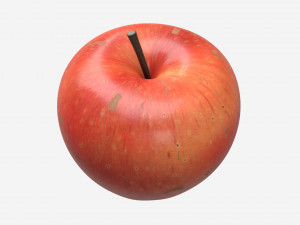Apple single fruit gala red 3D Model