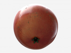 Apple single fruit gala red 3Dモデル