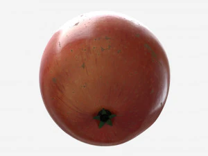 Apple single fruit gala red 3D Model