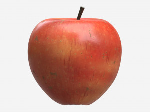 Apple single fruit gala red 3Dモデル