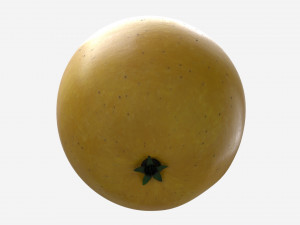 Apple single fruit golden Model 3D