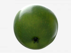 Apple single fruit green 3D Model