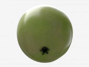 Apple single fruit green light 3D Model