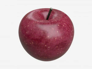 Apple single fruit red 3D Model