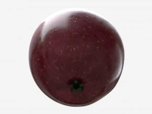 Apple single fruit red 3D Model