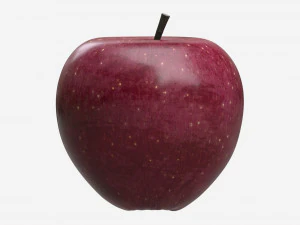 Apple single fruit red 3D Model