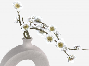 Brushed Ceramic Flower Vases 3Dモデル