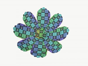 Flower Aster Cosmos bipinnatus 3D Модель
